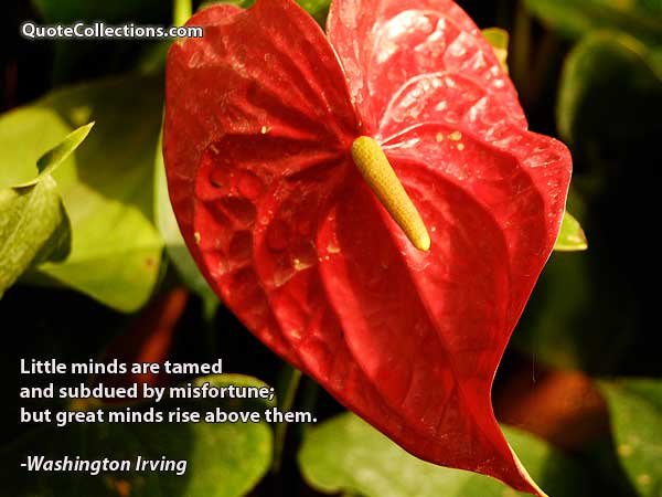 Washington Irving Quotes1